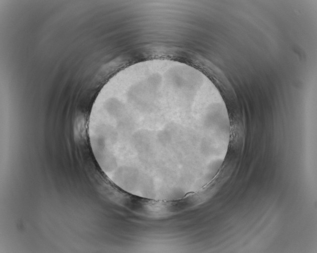 X0000110990142200907311018