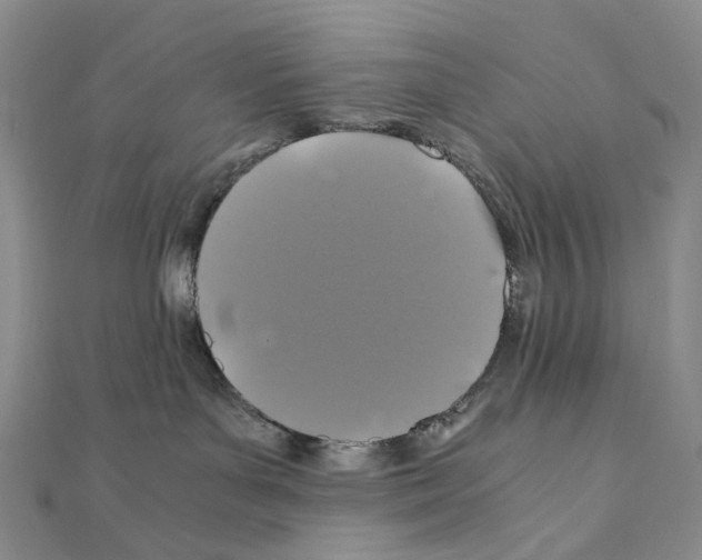 X0000110990143200907311018