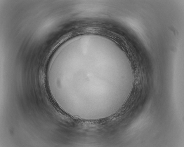 X0000110990146200907311017