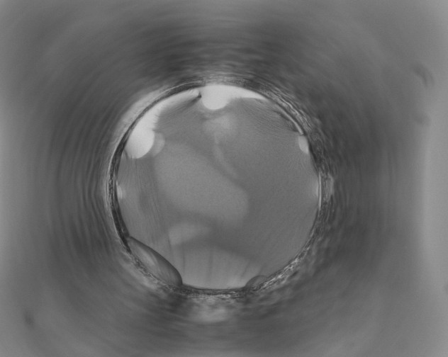 X0000110990147200907311017