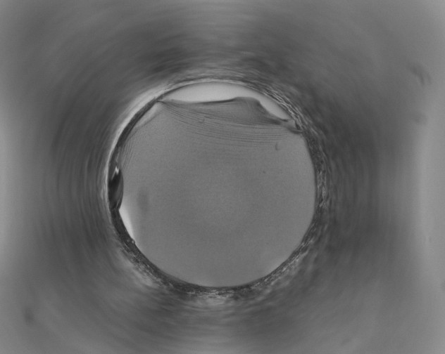 X0000110990148200907311017