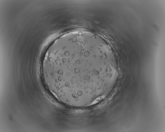 X0000110990149200907311017