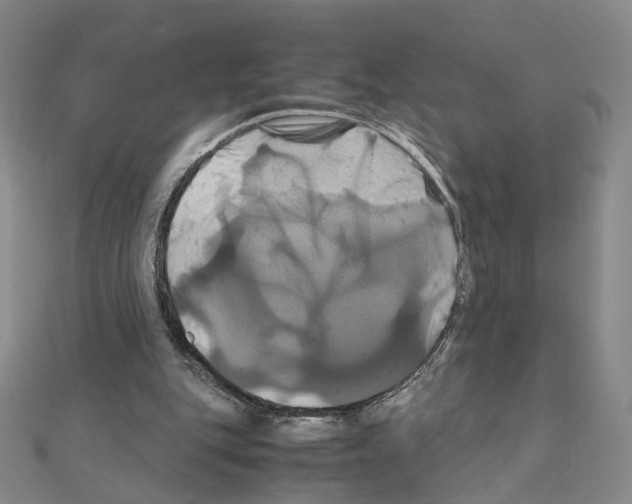 X0000110990151200907311017