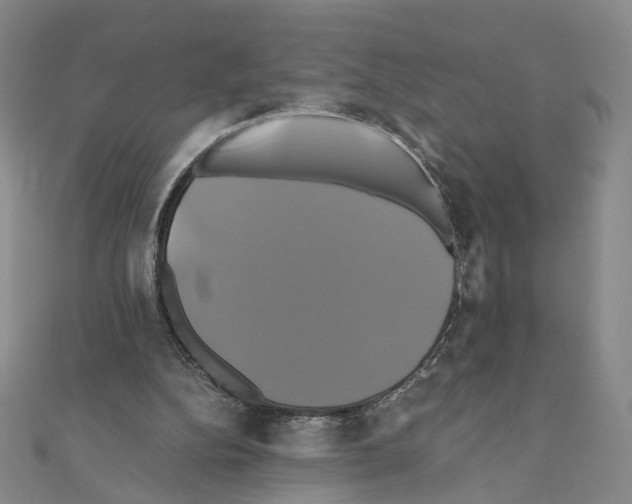 X0000110990152200907311017