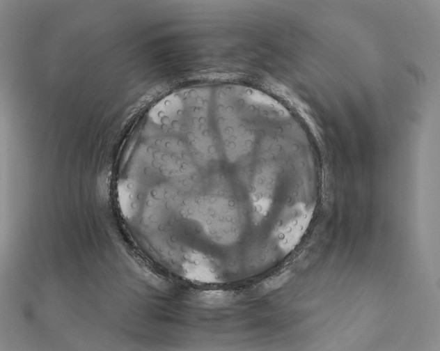 X0000110990153200907311017