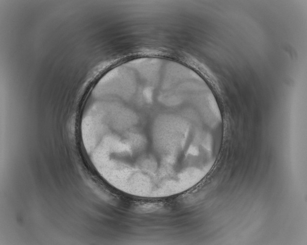 X0000110990155200907311017