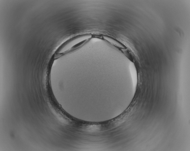 X0000110990156200907311017