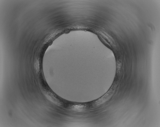 X0000110990158200907311017