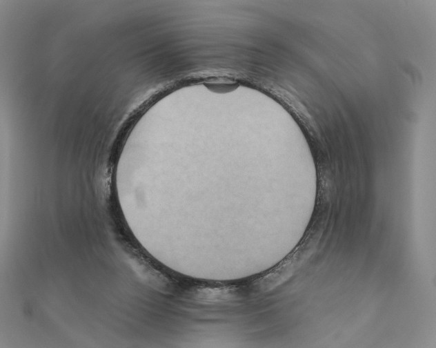 X0000110990160200907311017