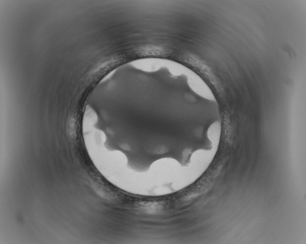 X0000110990161200907311017