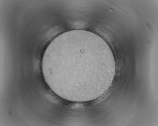 X0000110990162200907311017