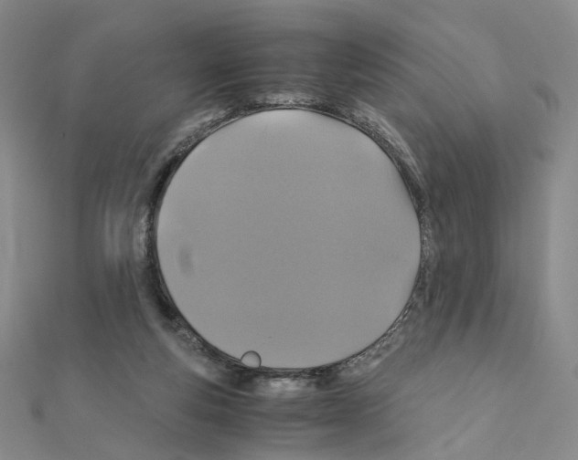 X0000110990163200907311017