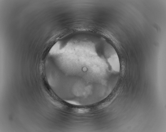 X0000110990165200907311017