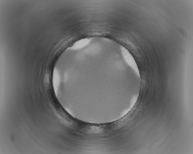 X0000110990166200907311017