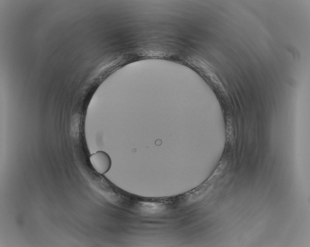 X0000110990167200907311017