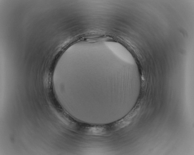 X0000110990168200907311017