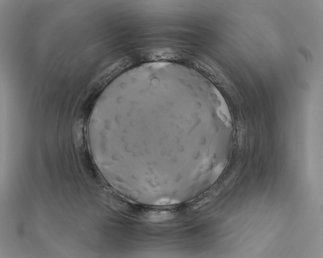 X0000110990169200907311017