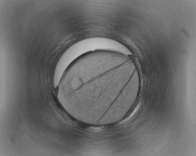 X0000110990170200907311017