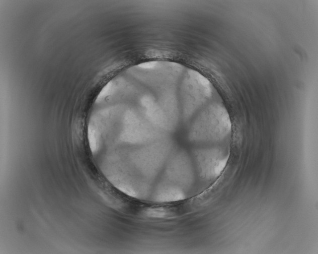 X0000110990171200907311017