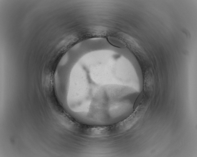 X0000110990172200907311017