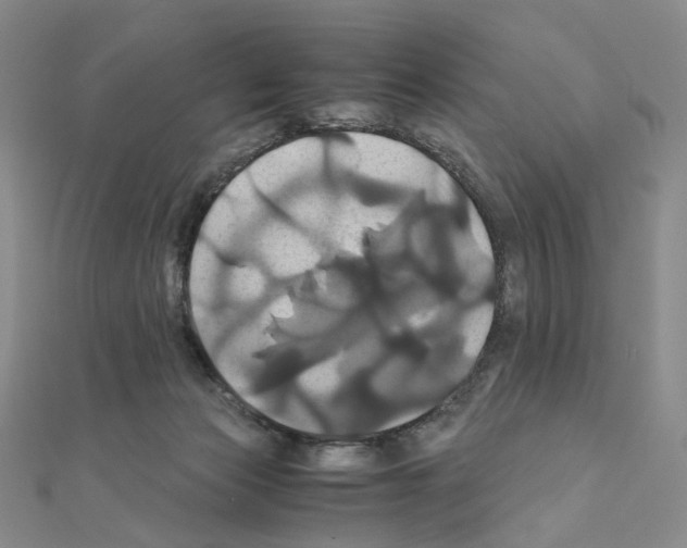 X0000110990173200907311017