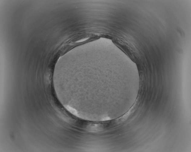 X0000110990174200907311017
