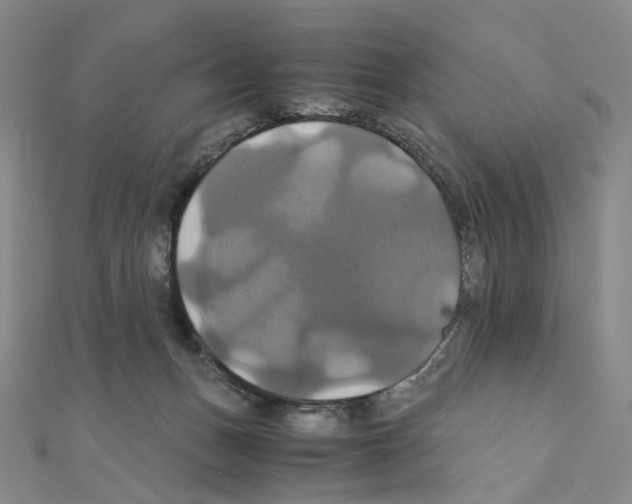 X0000110990175200907311017