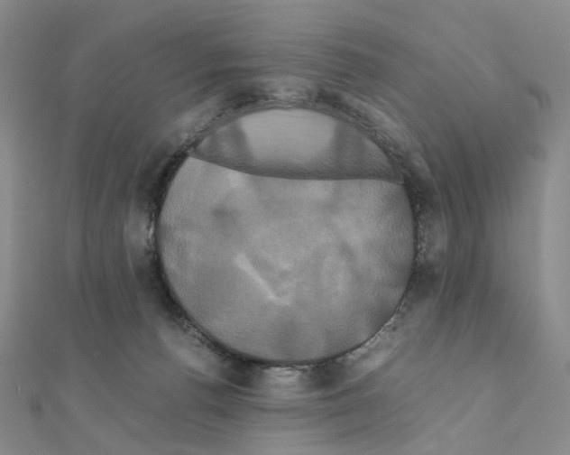 X0000110990176200907311017