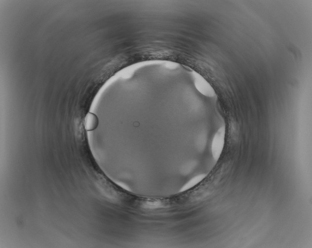 X0000110990177200907311017