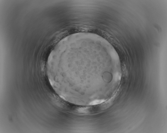 X0000110990178200907311017