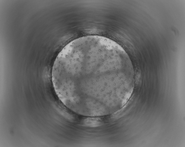 X0000110990179200907311017