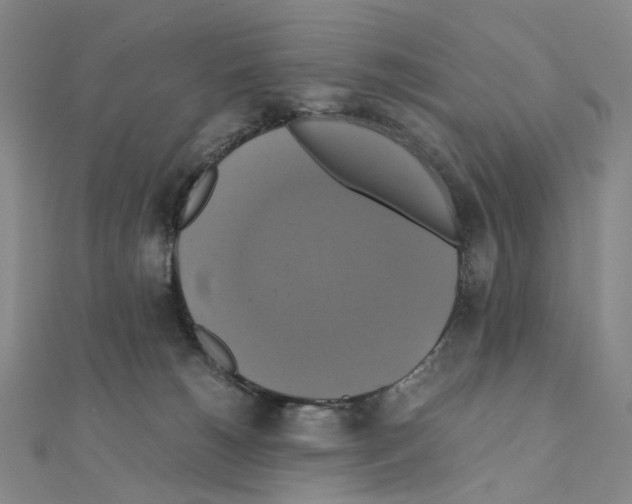 X0000110990180200907311017