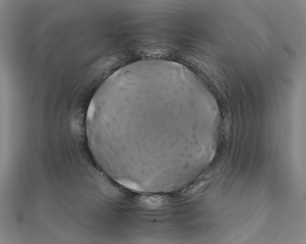 X0000110990181200907311017