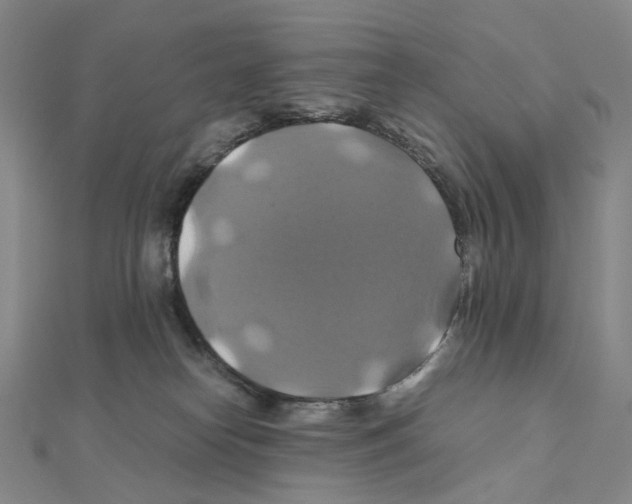 X0000110990182200907311017