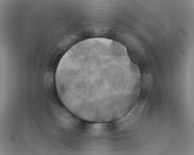X0000110990184200907311017