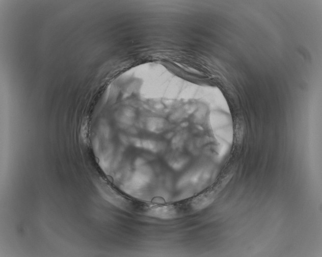 X0000110990185200907311017