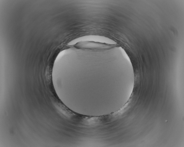 X0000110990186200907311017