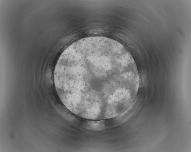 X0000110990187200907311017