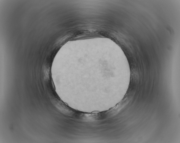 X0000110990188200907311018
