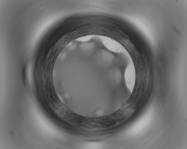 X0000110990189200907311018