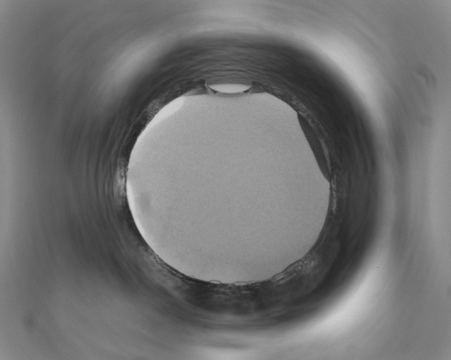 X0000110990190200907311018