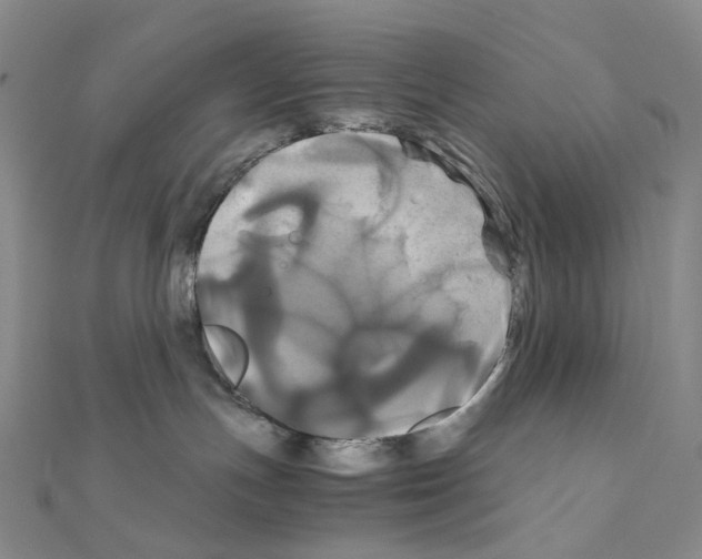 X0000110990191200907311018