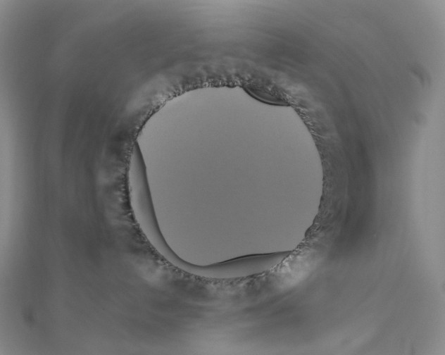 X0000110990192200907311018