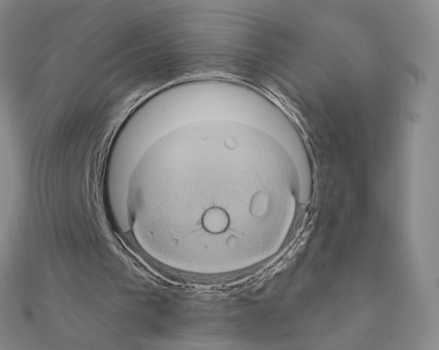 X0000110990193200907311017