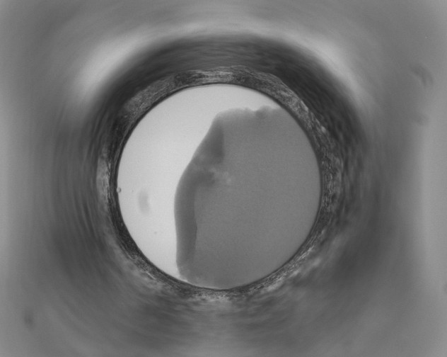 X0000110990194200907311017