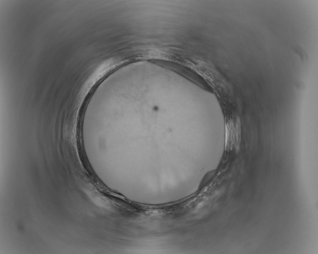X0000110990195200907311017
