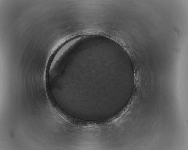 X0000110990196200907311017