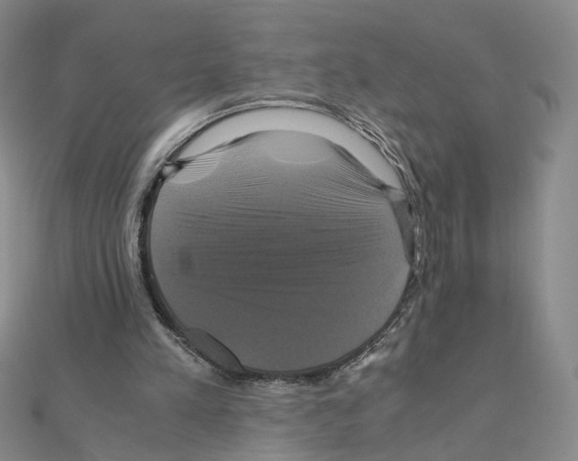 X0000110990197200907311017