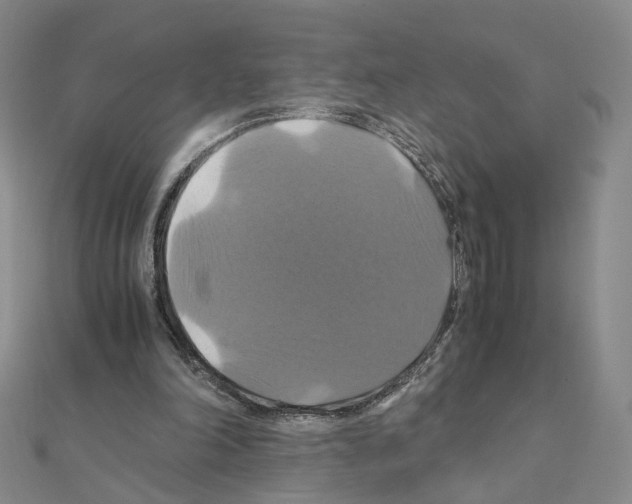 X0000110990198200907311017
