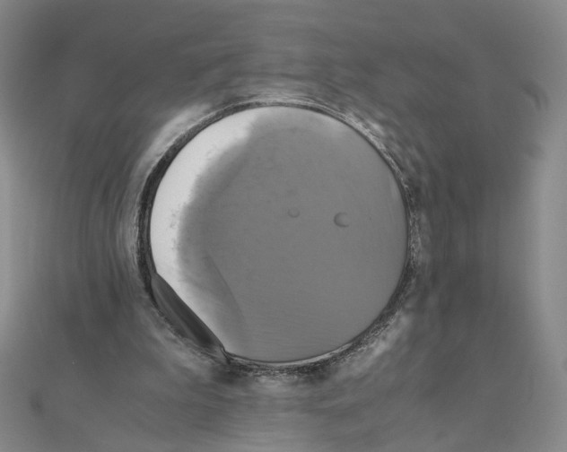X0000110990199200907311017